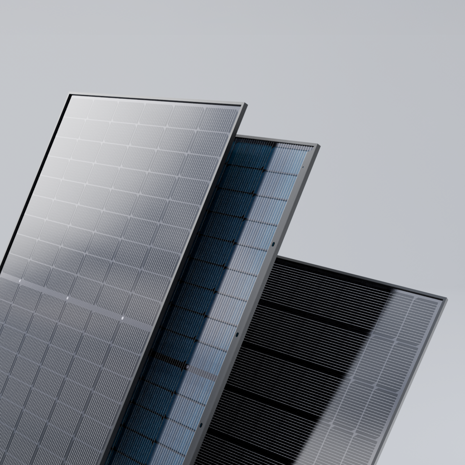 Basic (sem fixação)